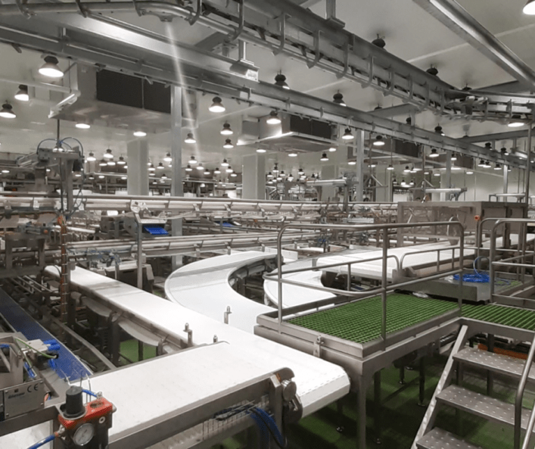 Sala d'especejament industrial dissenyada per Blasau, fabricant espanyol de maquinària per a la indústria càrnia