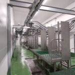 Dressing line with overhead rail installed by BLASAU S.L. at Farma Elassonas sheep slaughterhouse, Greece (2022)
