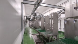 Cadena d'esbocament amb carril aeri instal·lada per BLASAU S.L. a l'escorxador d'ovins Farma Elassonas, Grècia (2022)