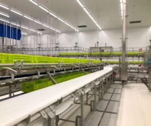 Sala de desfer porcí optimitzada amb carril aeri — Projecte BLASAU per a Noel (2021)