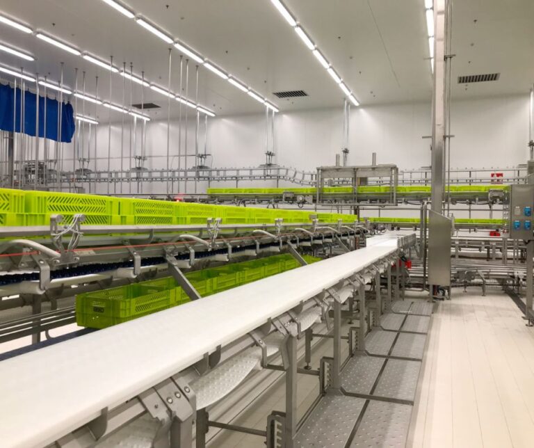 Sala de desfer porcí optimitzada amb carril aeri — Projecte BLASAU per a Noel (2021)