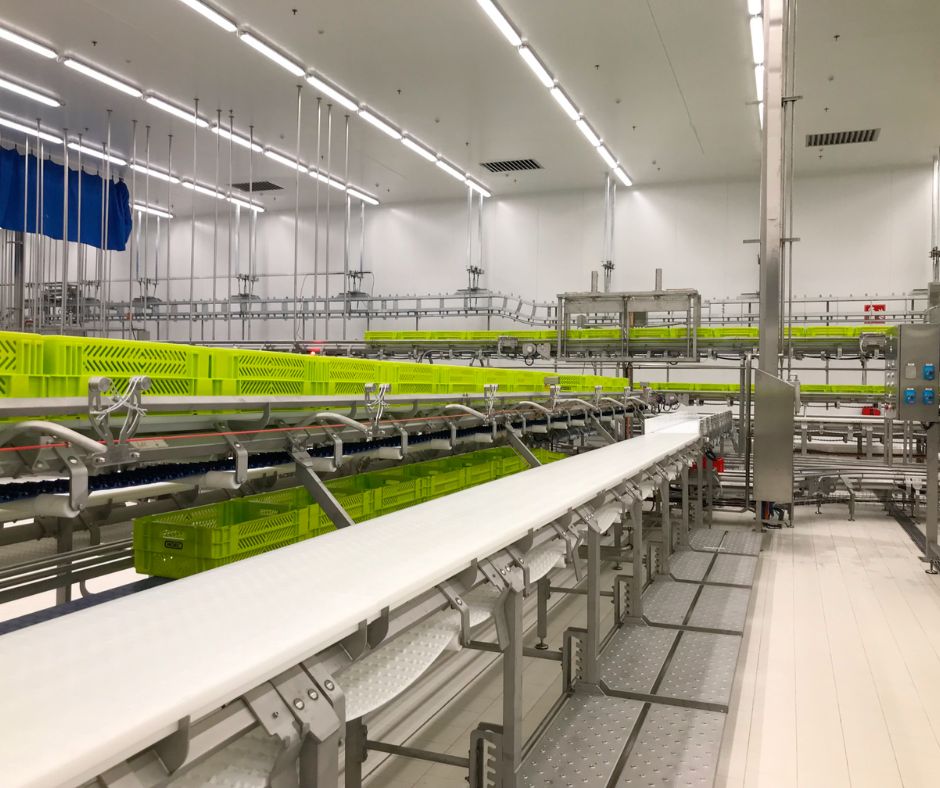 Sala de desfer porcí optimitzada amb carril aeri — Projecte BLASAU per a Noel (2021)
